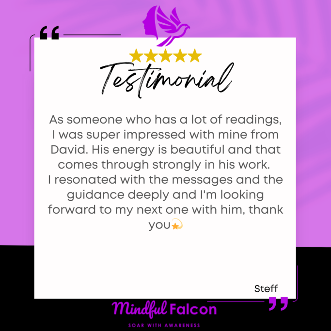 Testimonial praising David's energy and guidance from a satisfied client.